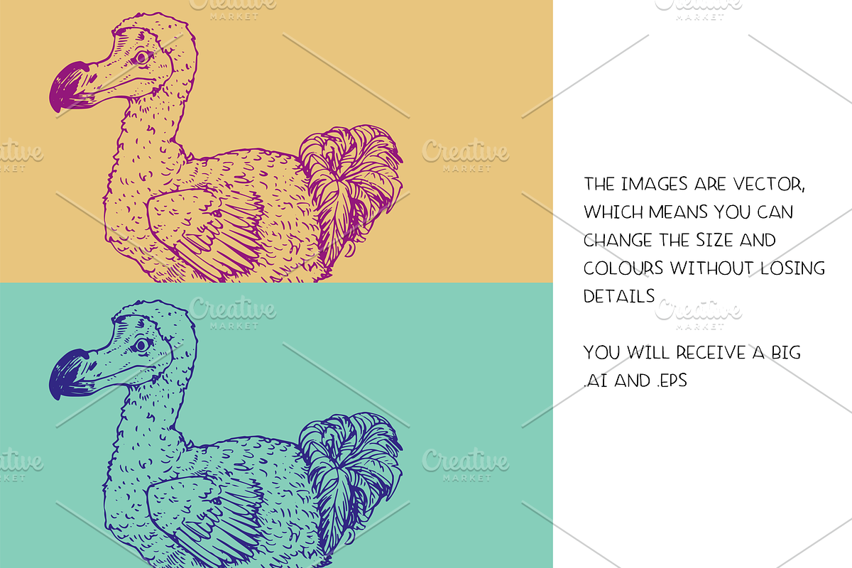 Extinct animals - illustration set, an Animal Illustration by Renée from Studio neetje (Photo 4 of 5)
