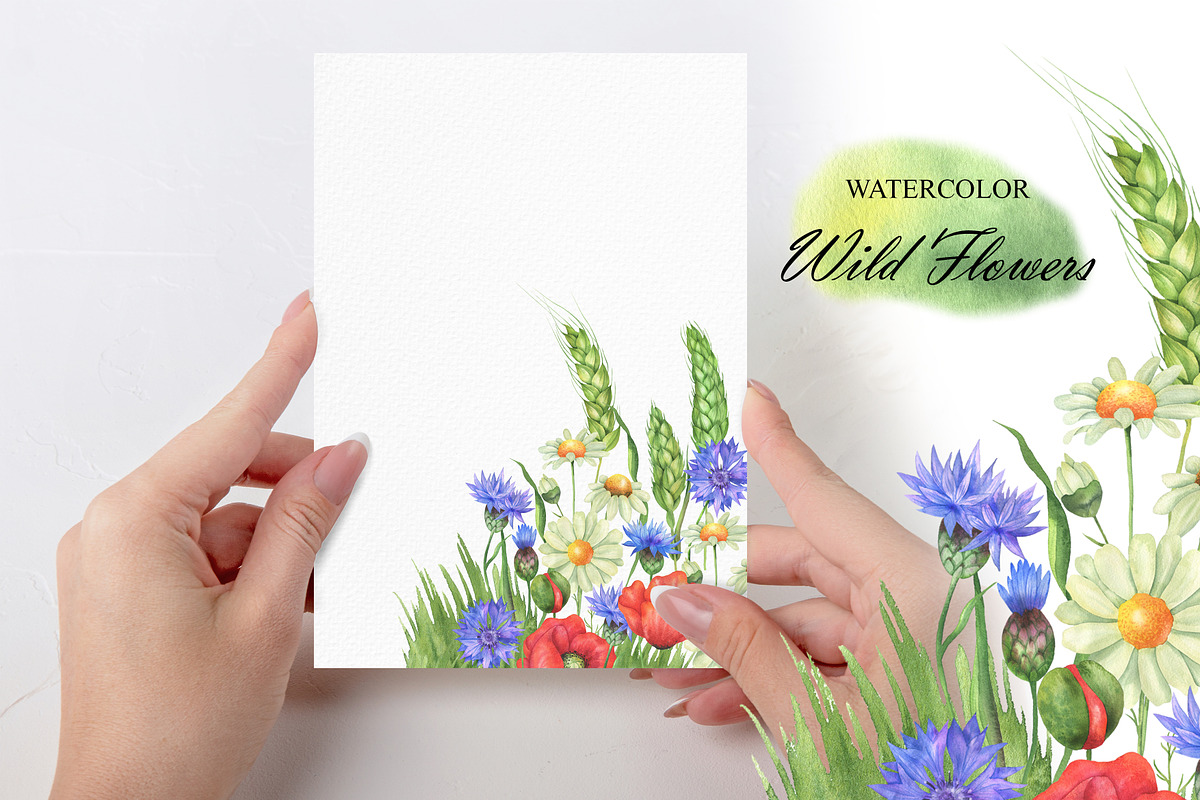 Watercolor Wildflowers clipart, an Illustration by OlDm_Shop (Photo 6 of 7)