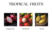 Tropical Fruits Stock Images, Mango, a Food & Drink Photo by BrushstrokeArtGB (Thumbnail 2 of 5)