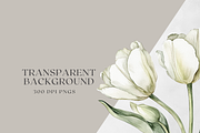 Tulip Whisper - Watercolor Clipart, an Illustration by ThaismotaCreativeCo (Thumbnail 10 of 10)