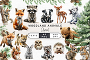 Woodland Animal Clipart, an Animal Illustration by EllyandLima (Thumbnail 1 of 7)