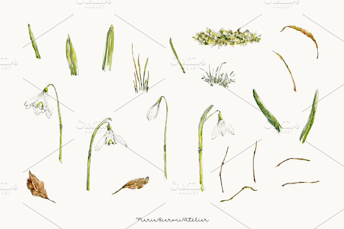 Snowdrop Watercolor Clipart Set, a Decorative Illustration by MariaScaroniAtelier (Photo 2 of 7)