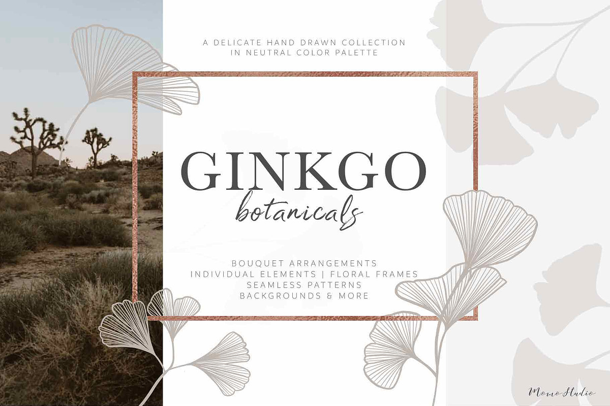 Ginkgo Botanicals - Florals & Leaves, an Illustration by Momo Studio (Photo 1 of 13)