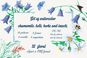 Set Of Watercolor Wild Flowers