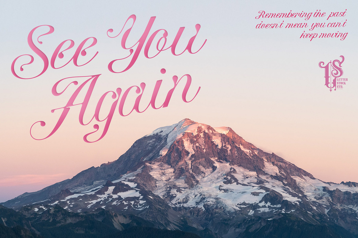 Wastecosta, a Script Font by LetterStock (Photo 7 of 7)