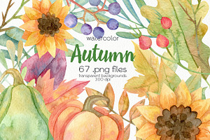 Watercolor Autumn Clipart. Pumpkin.