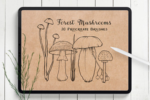Mushroom Procreate Stamps: Line Art
