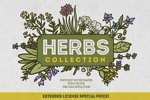 Herbs Collection