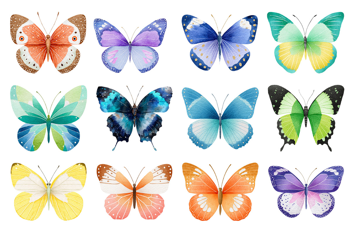 Watercolor Butterfly Clipart Bundle, an Illustration by Dream Creation (Photo 4 of 6)