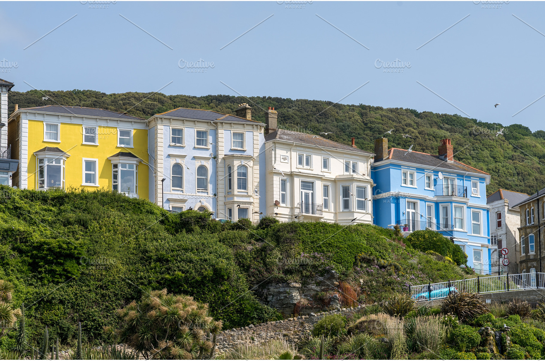 Colorful large houses, hotels or, a Nature Photo by Backyard Stock
