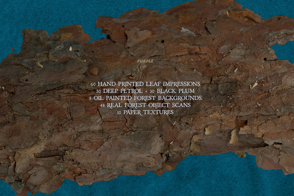 Leaf Imprints, Forest Scans & Paper, an Object Graphic by Purple (Photo 9 of 20)