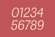 Hacim Simple Sans Serif Font Family, a Sans Serif Font by Creativetacos (Thumbnail 13 of 16)