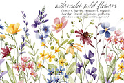 Floral watercolor set, wildflowers., a Decorative Illustration by Larisa Maslova (Thumbnail 1 of 12)