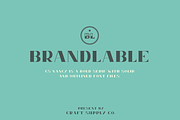 CS Nancy Font Family, a Serif Font by Craft Supply Co. (Thumbnail 1 of 5)