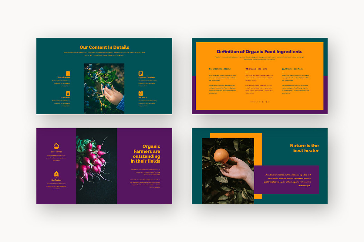 Tato : Farm Business Google Slides, a Presentation Template by Punkl Camp (Photo 11 of 16)