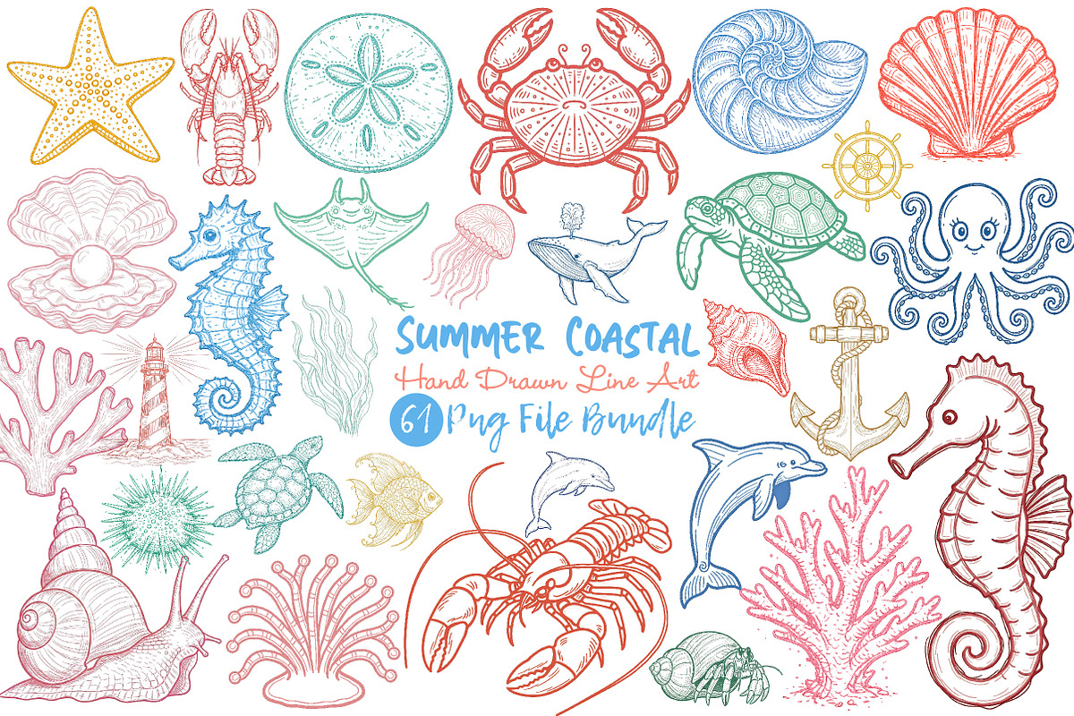 Summer Coastal Hand Drawn Line Art, an Illustration by Dream Creation (Photo 1 of 4)
