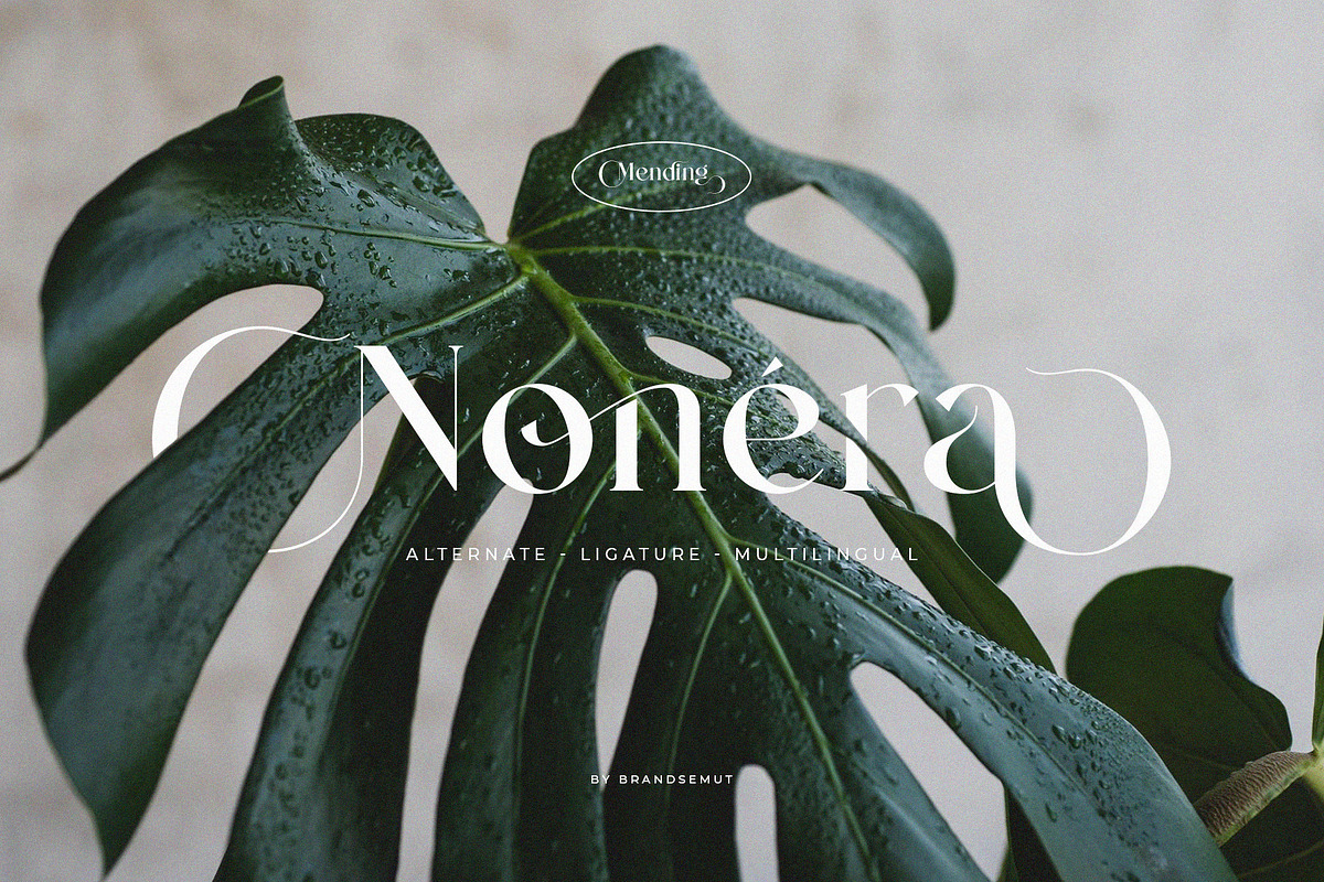 Mending – Stylish Display Serif Font, a Serif Font by BrandSemut (Photo 5 of 10)