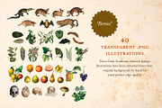 Dark Academia: 300 Vintage Ephemera, an Object Graphic by The Object Atlas (Thumbnail 9 of 9)