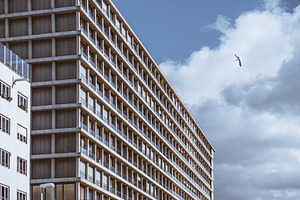 Modern facade with flying seagull, an Architecture Photo by SkyNext