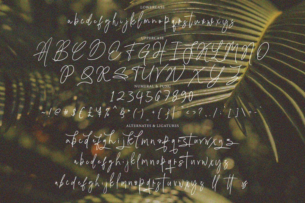 Lisasha - Handwritten Signature, a Handwritten Font by tebaltipislab (Photo 9 of 9)