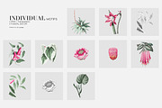 Meloura Luxury Patterns And Elements, a Pattern Graphic by LEAFure (Thumbnail 5 of 9)