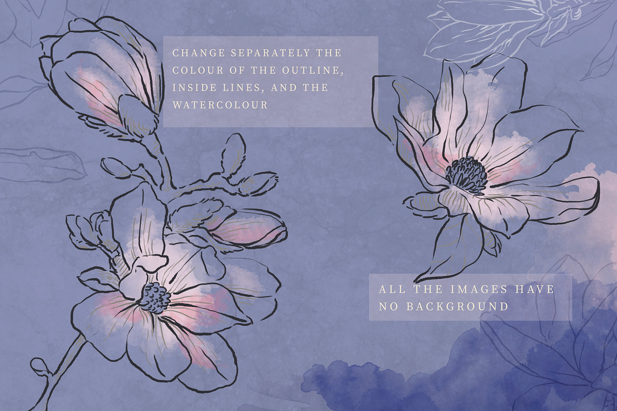 Wedding idea, Magnolia Collection, an Illustration by Bee_in_a_Nest (Photo 2 of 4)