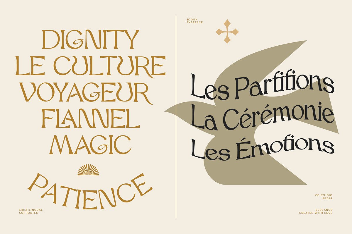 Bjork Serif, a Serif Font by CCS-Type.com (Photo 24 of 30)