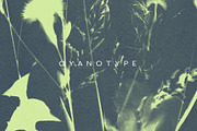FLORAL Cyanotype, a Texture Graphic by nkate (Thumbnail 9 of 10)
