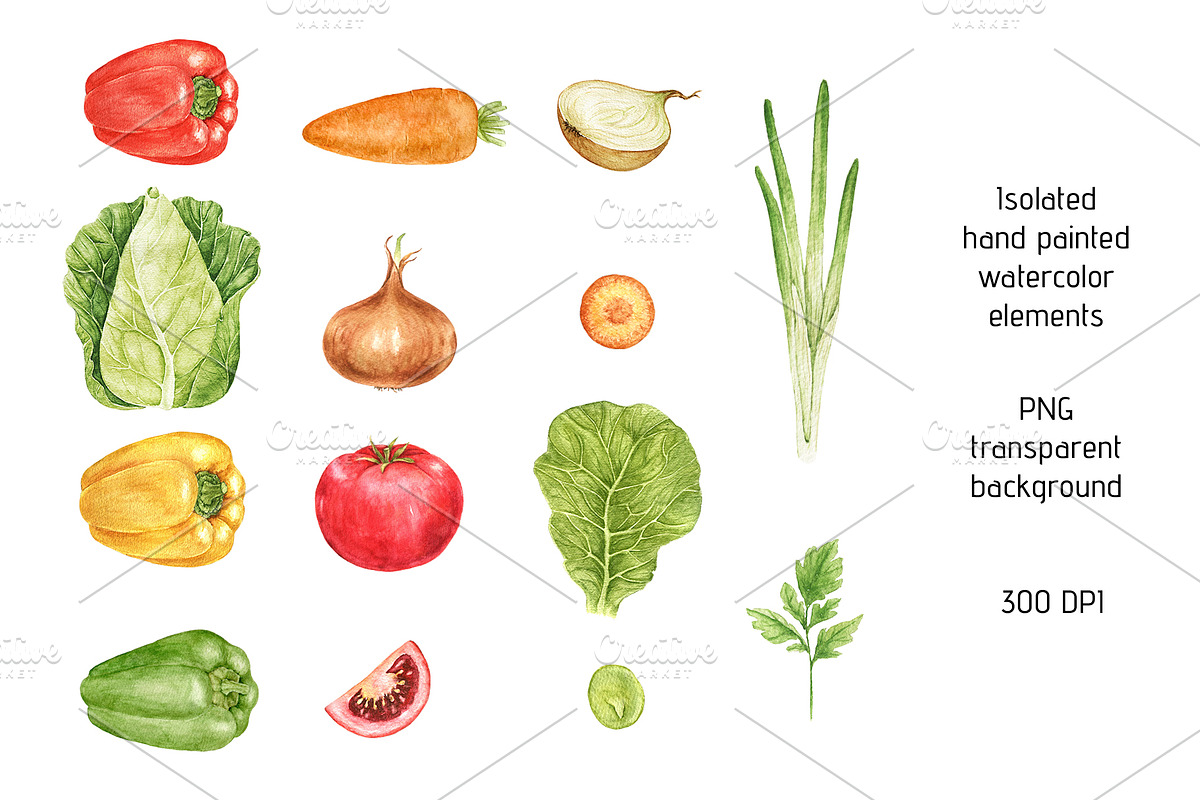 Vegetables Watercolor Clipart, a Food Illustration by Eves_Aquadreams (Photo 2 of 11)