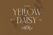 Quinale - Beautiful Serif, a Serif Font by Novitype (Thumbnail 9 of 14)