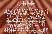 Contributtor, a Script Font by pineungtype (Thumbnail 7 of 7)