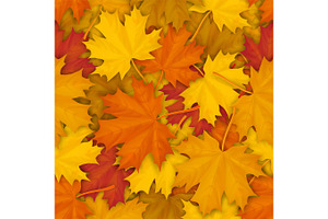 Fallen maple leaves pattern