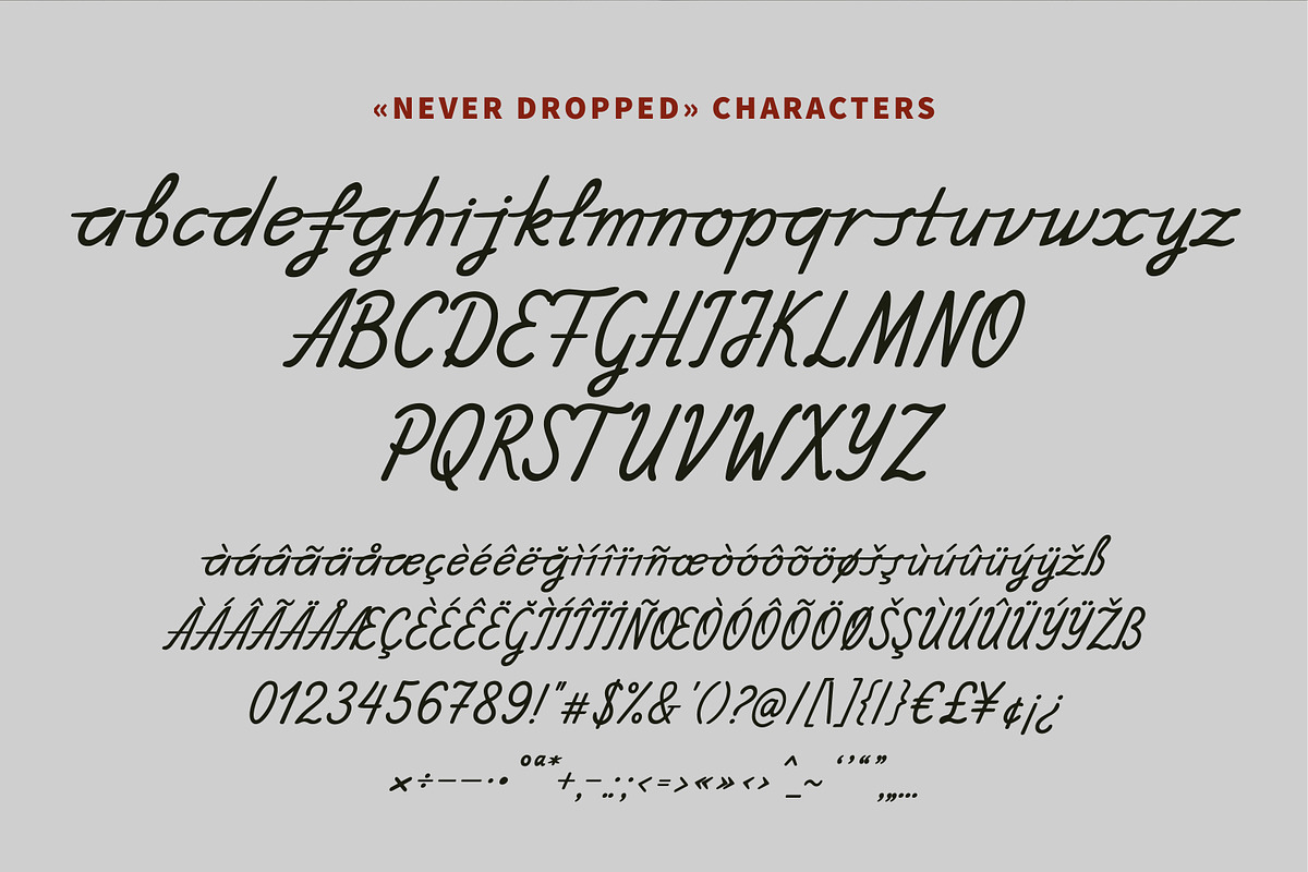 NeverDropped Handwritten Thin Script, a Script Font by Struvictory.art (Photo 5 of 9)