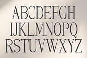 Palmorine | A Modern Serif Typeface, a Serif Font by Typoraith Co (Thumbnail 7 of 10)
