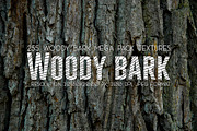 Woody Bark Textures, a Texture Graphic by Norse Moss (Thumbnail 1 of 8)