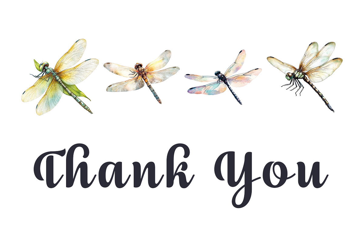 Watercolor Dragonfly Clipart, an Illustration by Pixels.Craft (Photo 5 of 5)