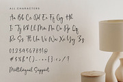 Fabiola Thomson Font, a Handwritten Font by Timurtype (Thumbnail 6 of 7)