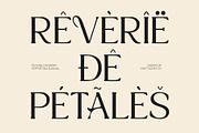 CS Aurellyn Drawn, a Serif Font by Craft Supply Co. (Thumbnail 6 of 8)