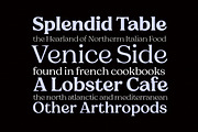 Charman Serif Font Family, a Serif Font by Propertype (Thumbnail 2 of 13)