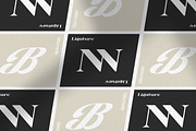 Raluweh - Modern Serif Display, a Serif Font by MaikoHatta (Thumbnail 5 of 8)