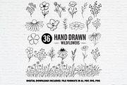 Hand Drawn Wildflower Vector Bundle, a Decorative Illustration by Guavanaboy (Thumbnail 1 of 3)