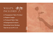 Animated Shadow Overlay Scene Mockup, a Product Mockup by Oui Create Studio (Thumbnail 4 of 17)