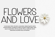 Brother Sans, a Sans Serif Font by FreshTypeINK (Thumbnail 6 of 8)