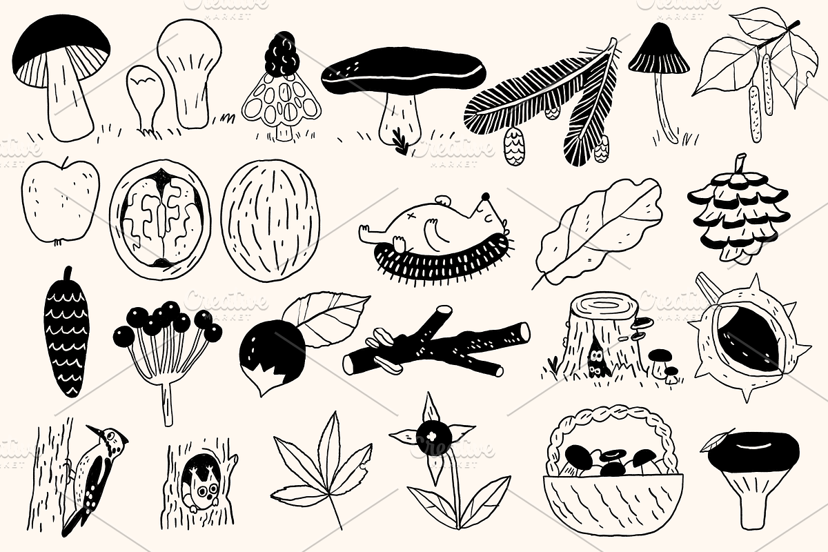 Ink Forest: Botanicals & Characters, an Animal Illustration by Schumacher Shop (Photo 3 of 19)