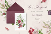 FIG & POMEGRANATE watercolor/pencil, a Decorative Illustration by long summer (Thumbnail 2 of 14)