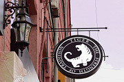 Logo with snarling tiger, a Branding & Logo Template by BondarenkoNat (Thumbnail 1 of 3)