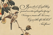 Castagna, a Script Font by Eurotypo (Thumbnail 3 of 5)