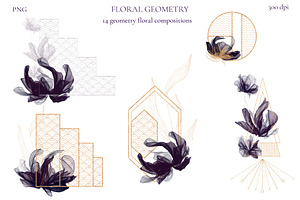 Floral Geometry