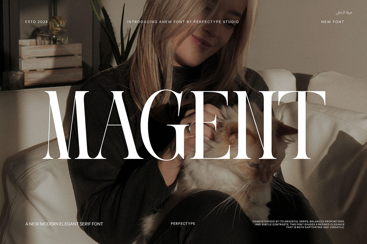 Magent Elegant Serif Font, a Serif Font by Perfectype (Photo 1 of 8)