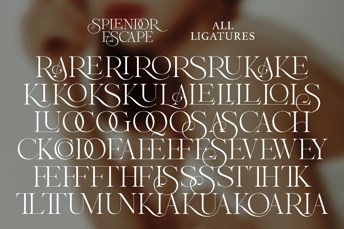 Splendor Escape - Elegant Serif, a Serif Font by Shakira Studio (Photo 11 of 12)